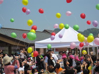 IMG_2265.JPG